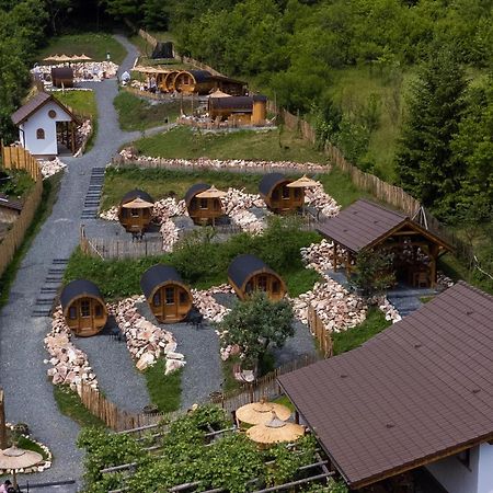 Complex Butoaiele Transilvaniei - Cazare & Spa - Natura - Relaxare Mediaş Zewnętrze zdjęcie