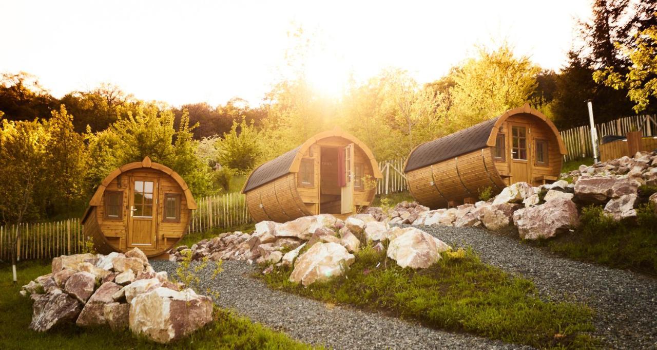 Complex Butoaiele Transilvaniei - Cazare & Spa - Natura - Relaxare Mediaş Zewnętrze zdjęcie