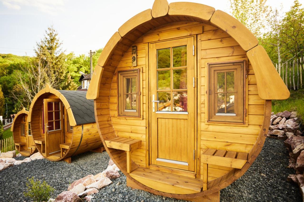 Complex Butoaiele Transilvaniei - Cazare & Spa - Natura - Relaxare Mediaş Zewnętrze zdjęcie
