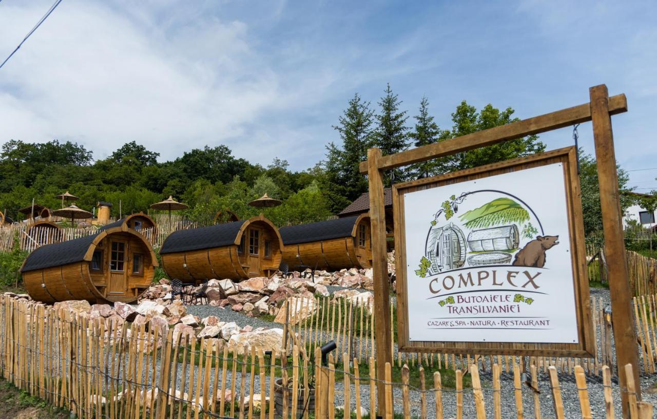 Complex Butoaiele Transilvaniei - Cazare & Spa - Natura - Relaxare Mediaş Zewnętrze zdjęcie
