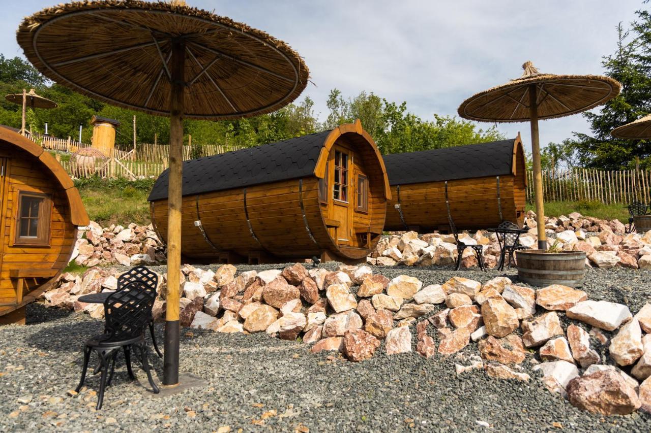 Complex Butoaiele Transilvaniei - Cazare & Spa - Natura - Relaxare Mediaş Zewnętrze zdjęcie