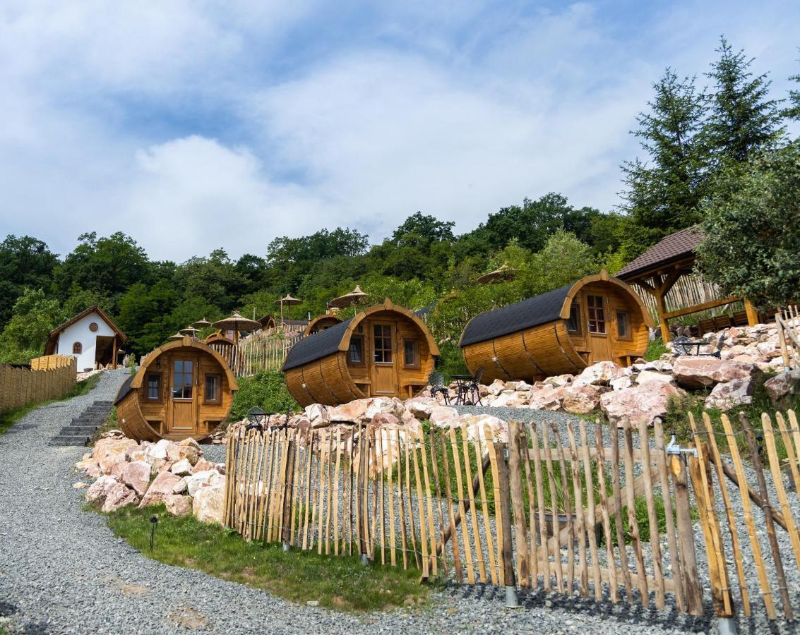 Complex Butoaiele Transilvaniei - Cazare & Spa - Natura - Relaxare Mediaş Zewnętrze zdjęcie