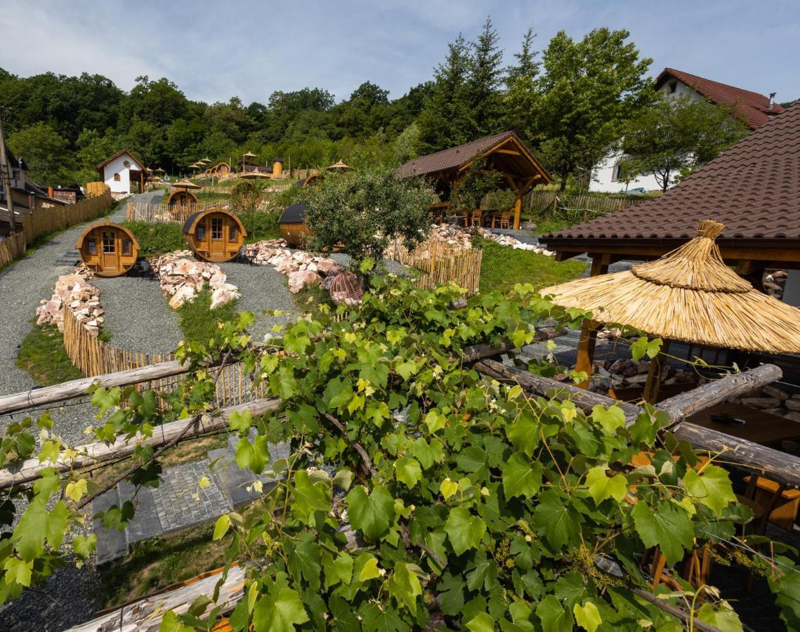 Complex Butoaiele Transilvaniei - Cazare & Spa - Natura - Relaxare Mediaş Zewnętrze zdjęcie